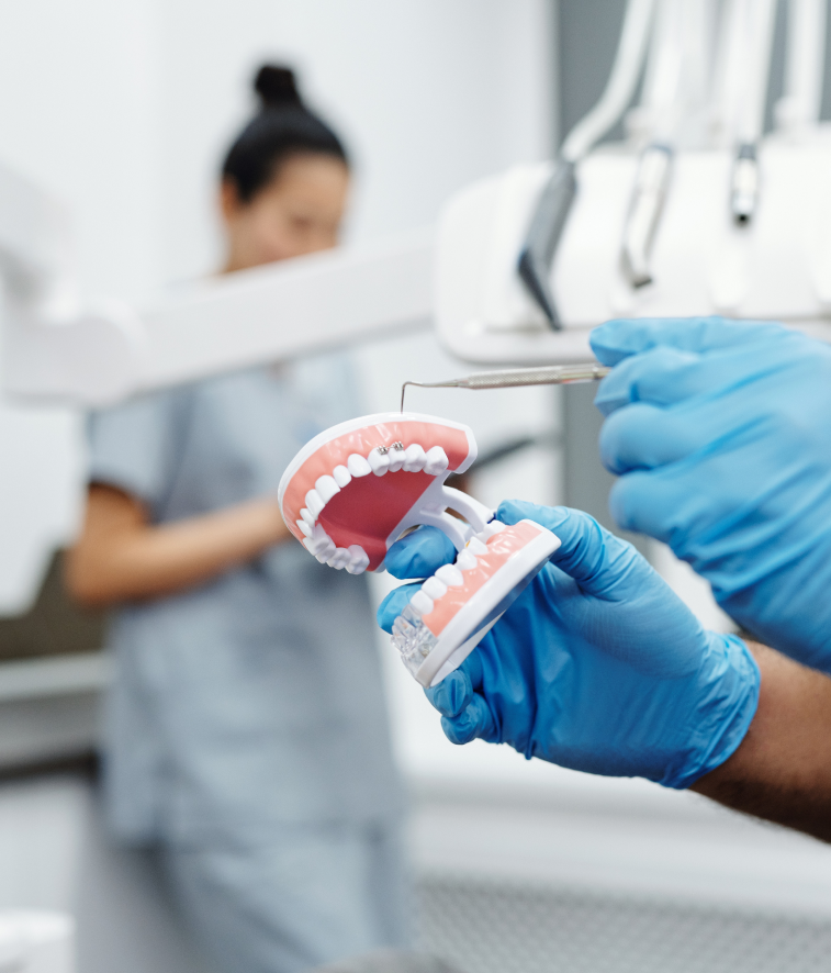 Zahnersatz beim Dr. Ristic in Laupheim